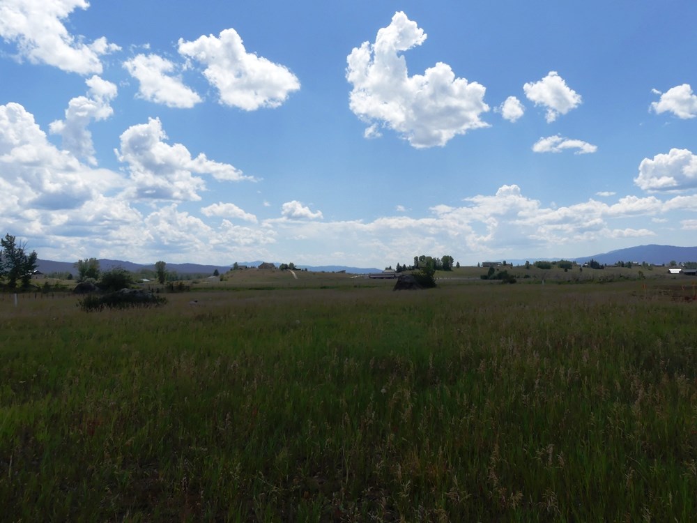 Lot 5 Springer Court, Unit 5 McCall, ID 83638 - Photo 8 of 13