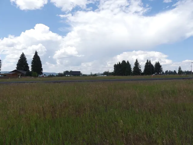 $265,000 | Lot 5 Springer Court, Unit 5, McCall, ID 83638