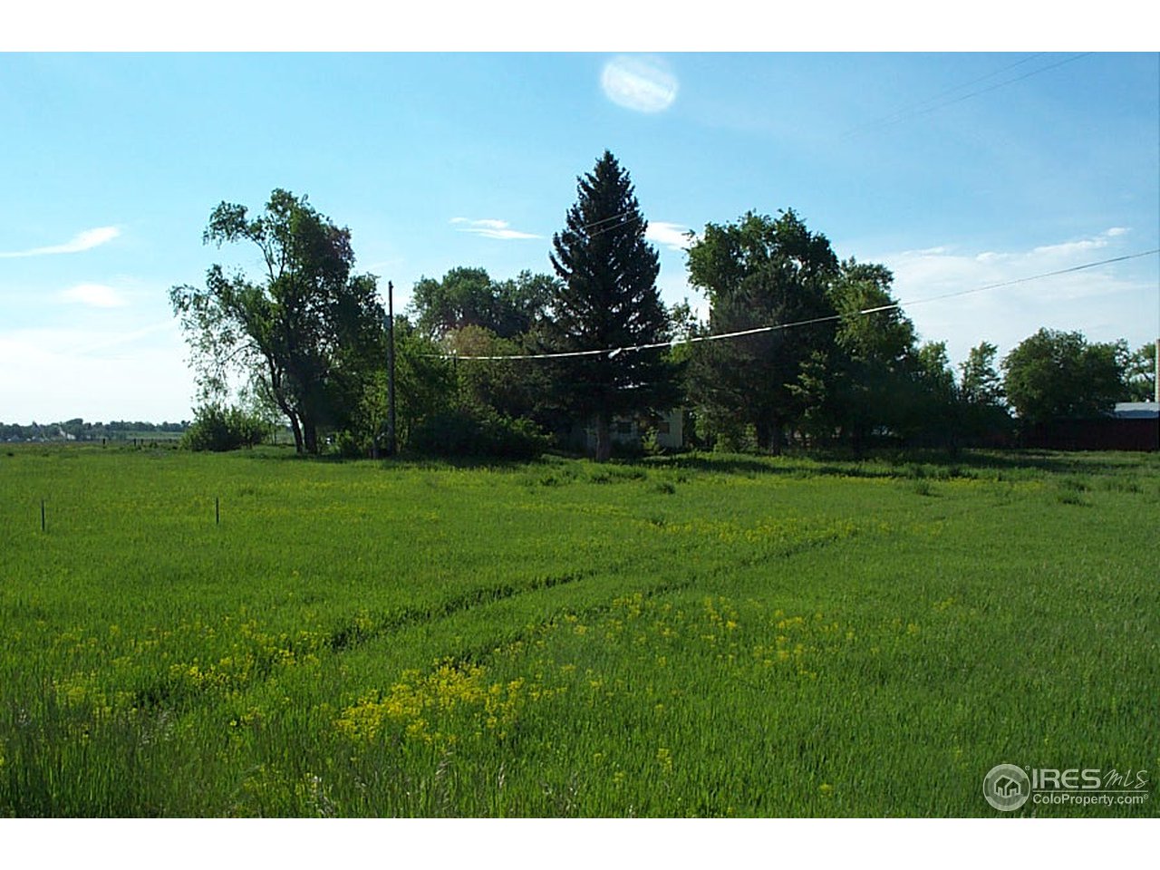 3800 North Taft Hill Road Fort Collins, CO 80524 - Photo 2 of 3 a backyard with a garden
