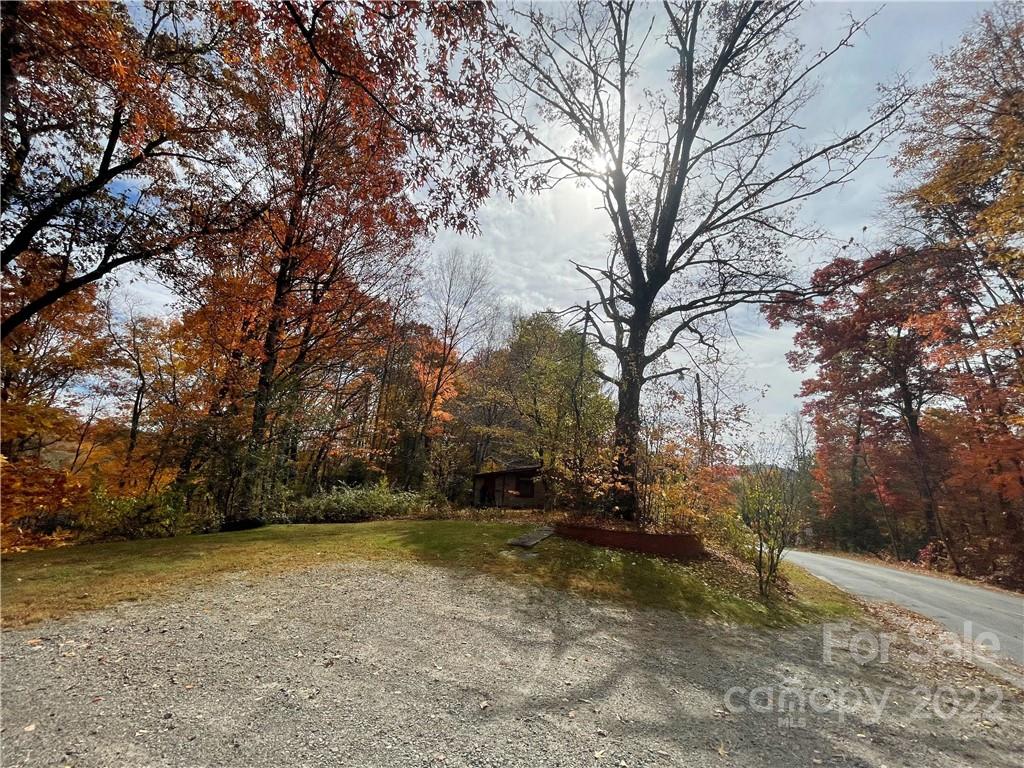 421 Bane Road Mills River, NC 28759 - Photo 1 of 5 a view of backyard space