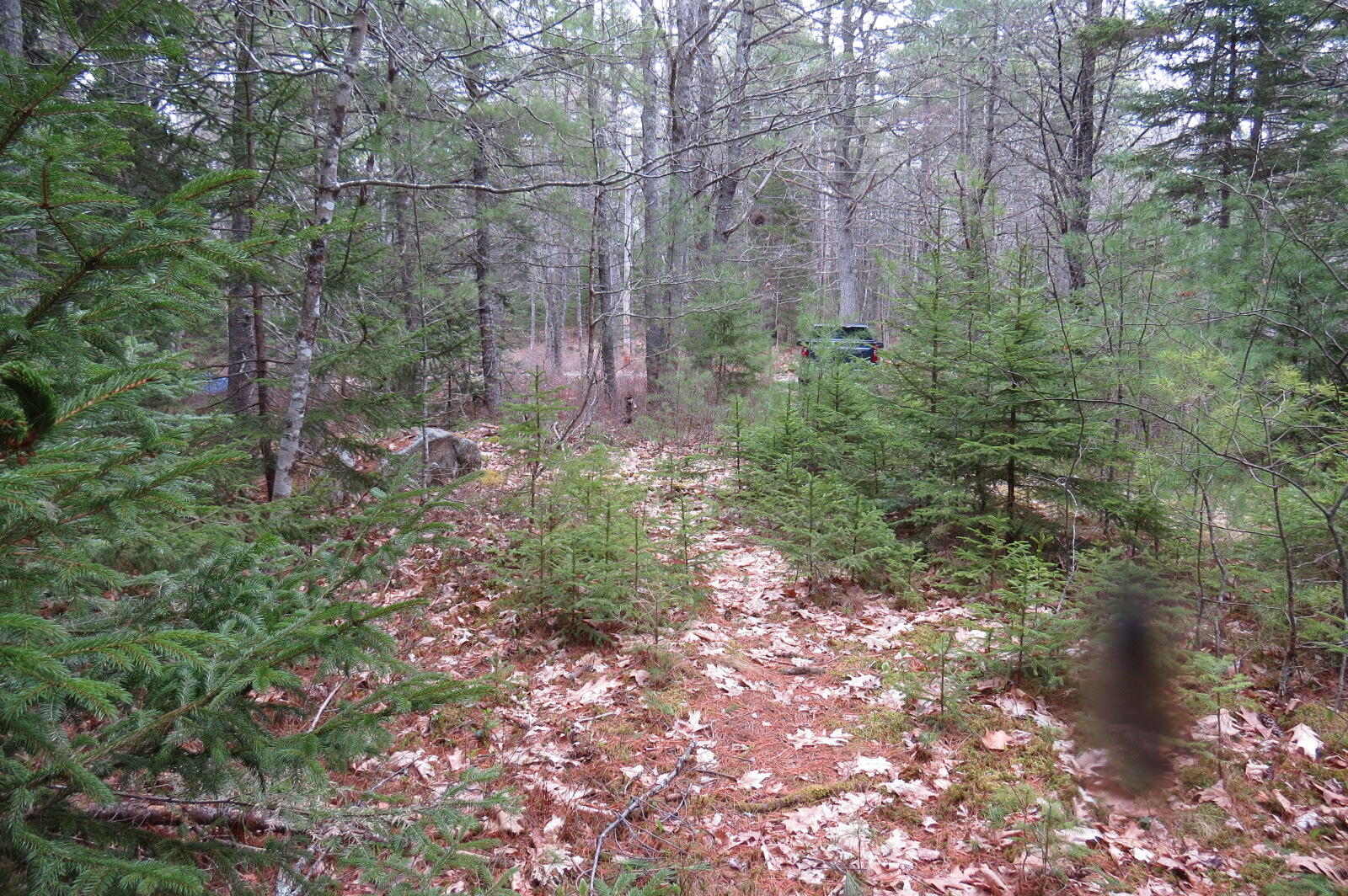 23 Porcupine Road Sullivan, ME 04664 - Photo 13 of 27 IMG_0196