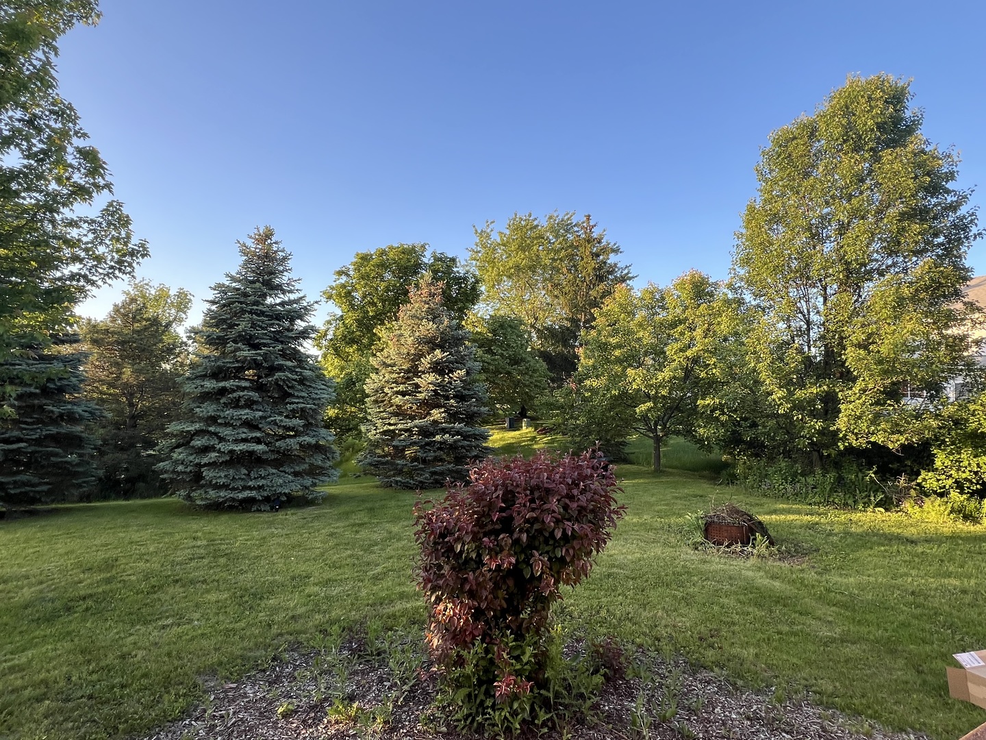 1792 Prairie Ridge Circle Lindenhurst, IL 60046 - Photo 4 of 16 Gallery Image 4