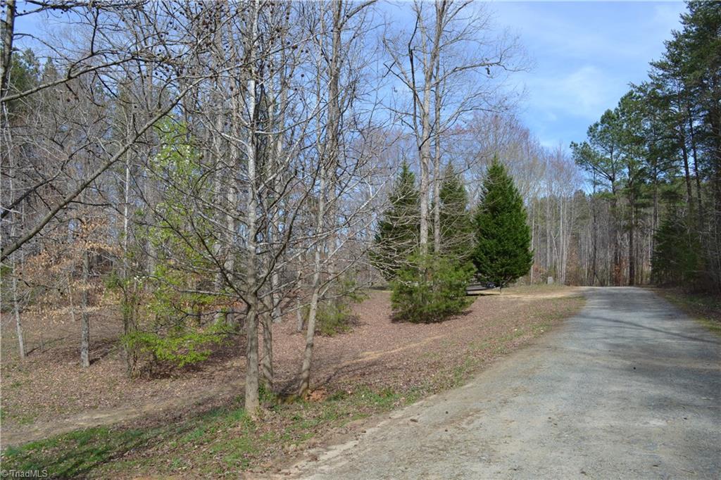 551 Pannel Road Reidsville, NC 27320 - Photo 3 of 19
