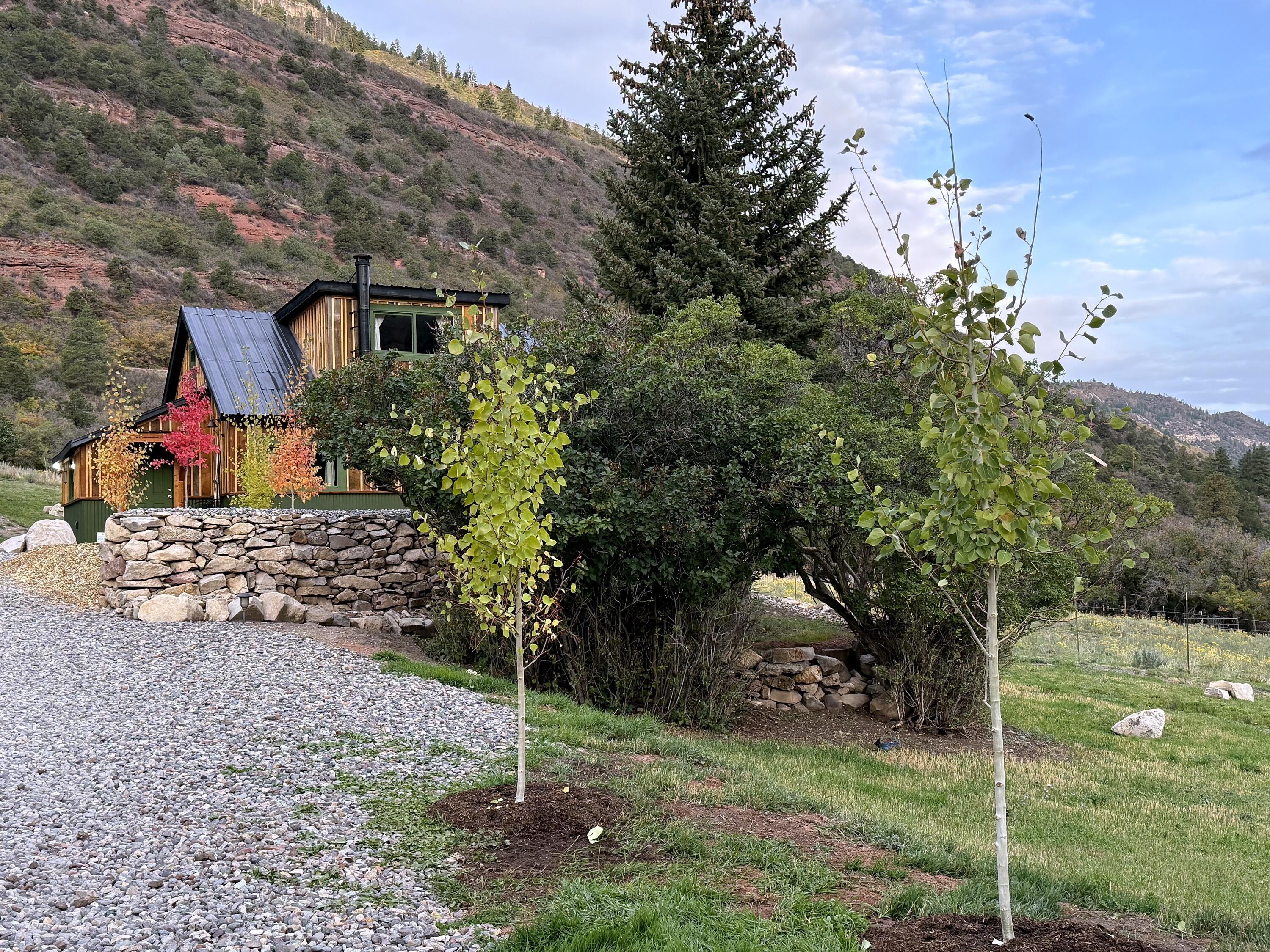 333 Marys Road Ridgway, CO 81432 - Photo 21 of 41 024-333-marys-road-colorado-mountain-hom