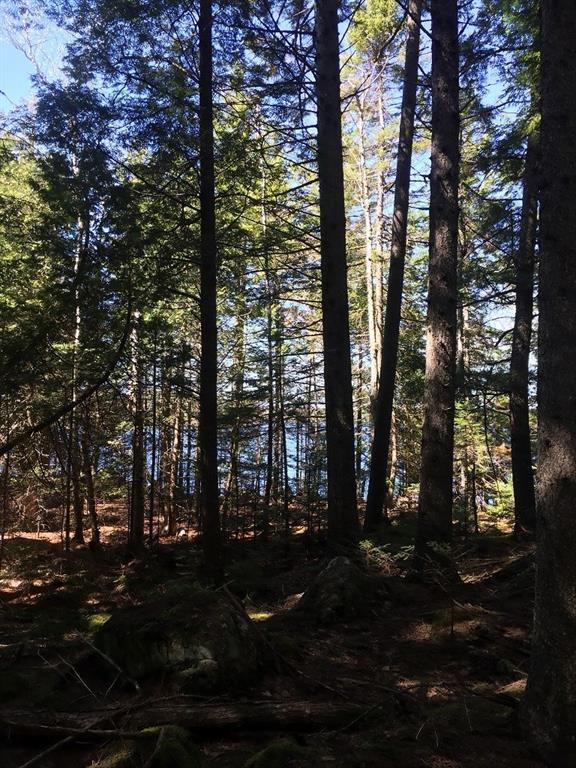 0 Bear Hollow Road Calais, ME 04619 - Photo 24 of 27 Photo