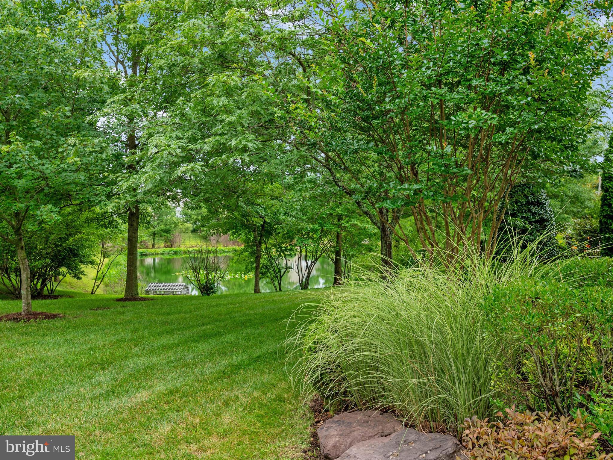 364 Overture Way Centreville, MD 21617 - Photo 40 of 62 a big yard with lots of green space and trees