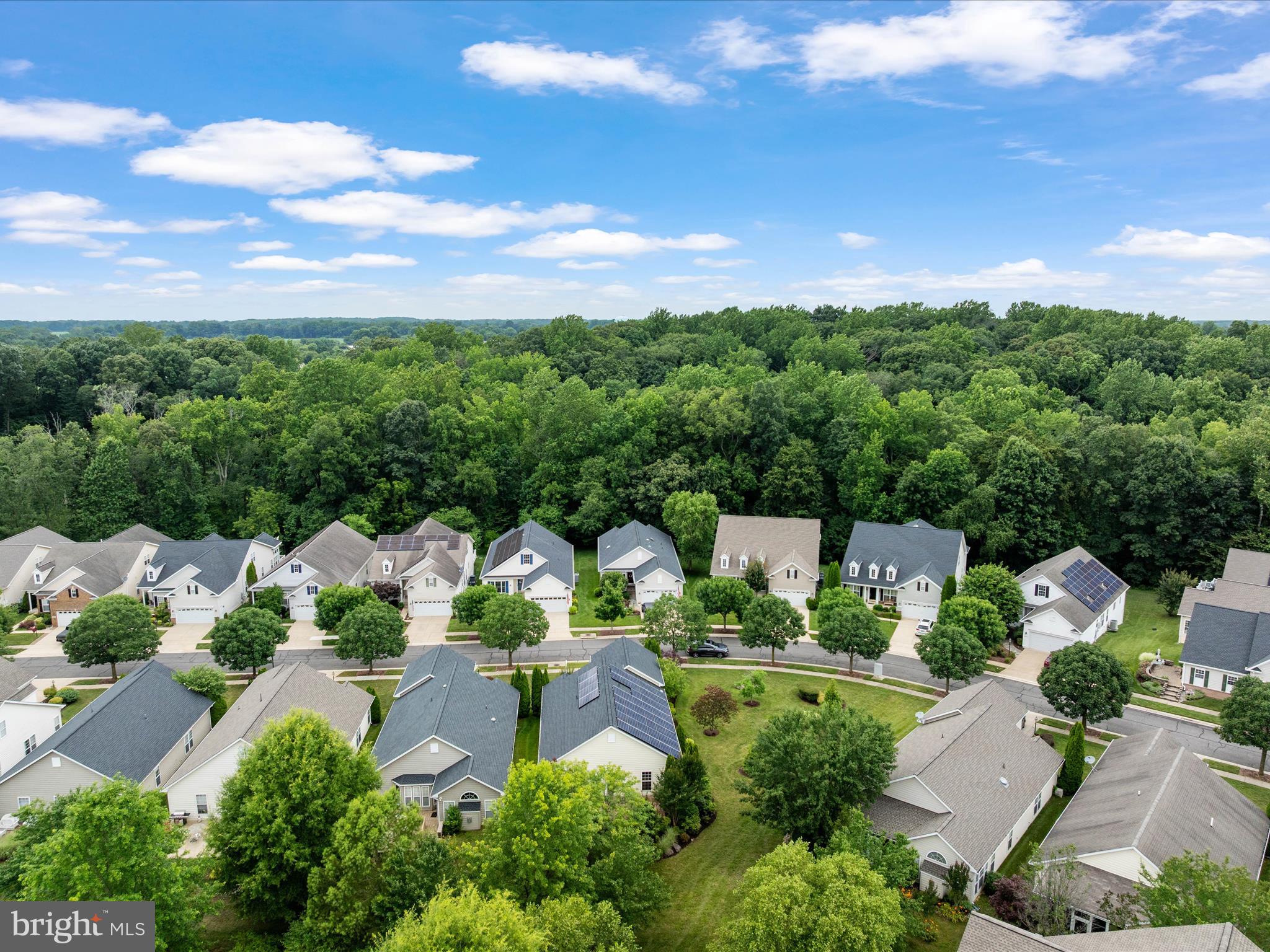 364 Overture Way Centreville, MD 21617 - Photo 51 of 62 an aerial view of a house with mountain view