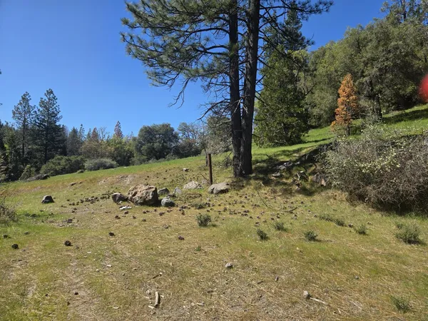 $139,000 | 23724 Van De Hei Road, Pioneer, CA 95666