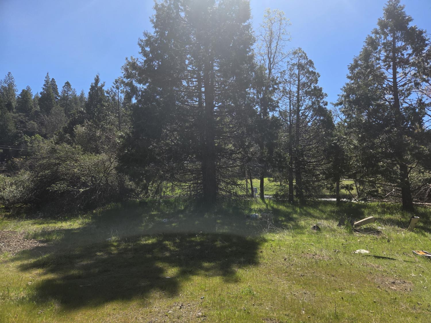 23724 Van De Hei Road Pioneer, CA 95666 - Photo 11 of 11