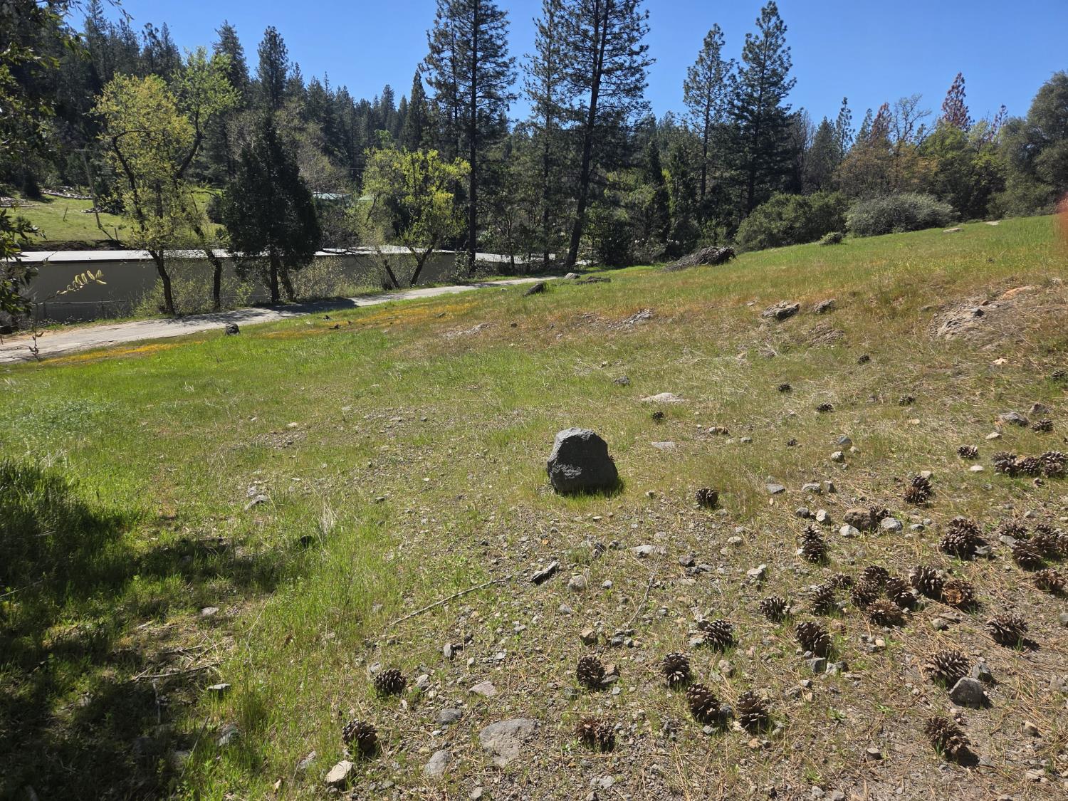 23724 Van De Hei Road Pioneer, CA 95666 - Photo 2 of 11