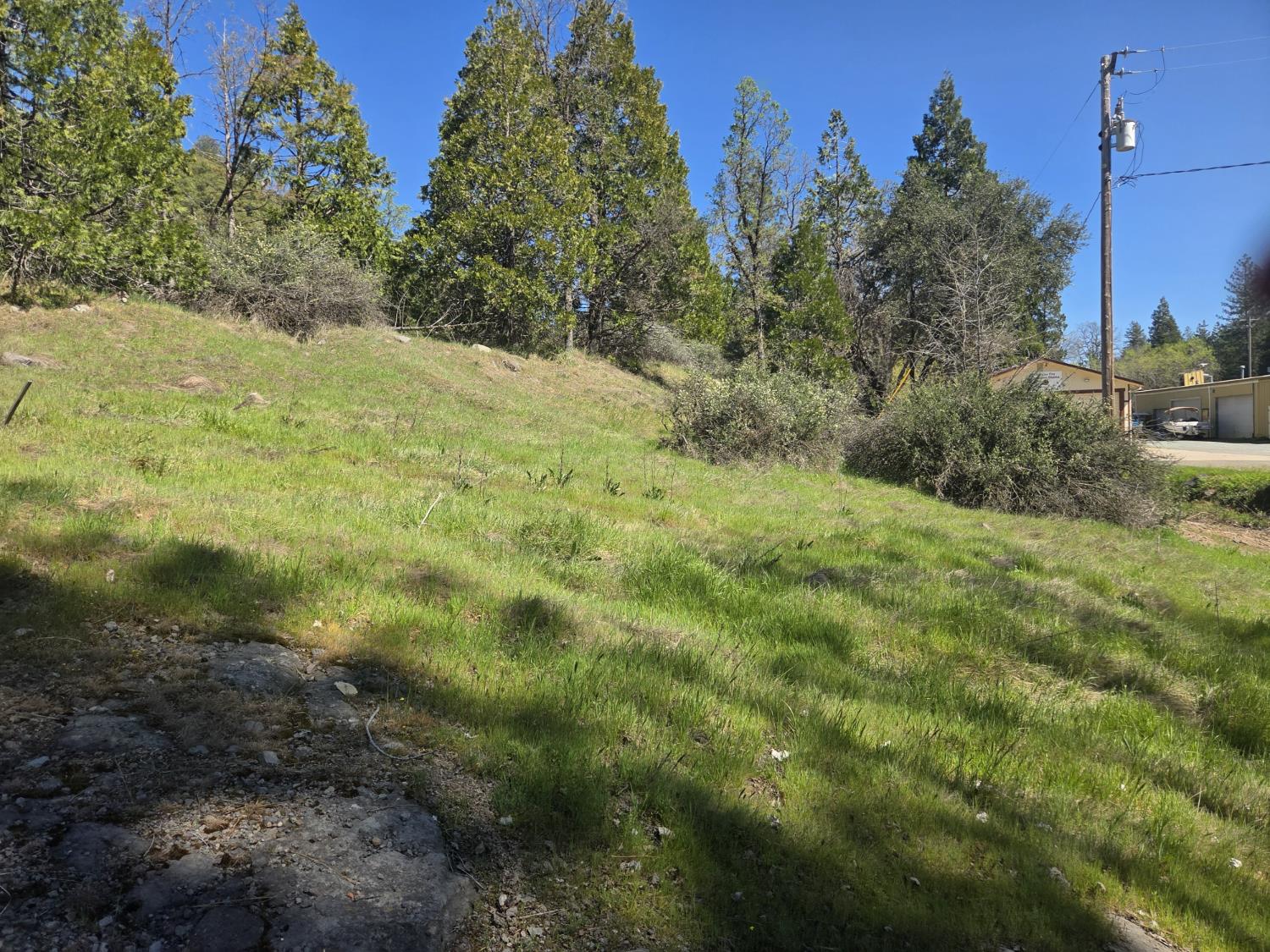 23724 Van De Hei Road Pioneer, CA 95666 - Photo 5 of 11