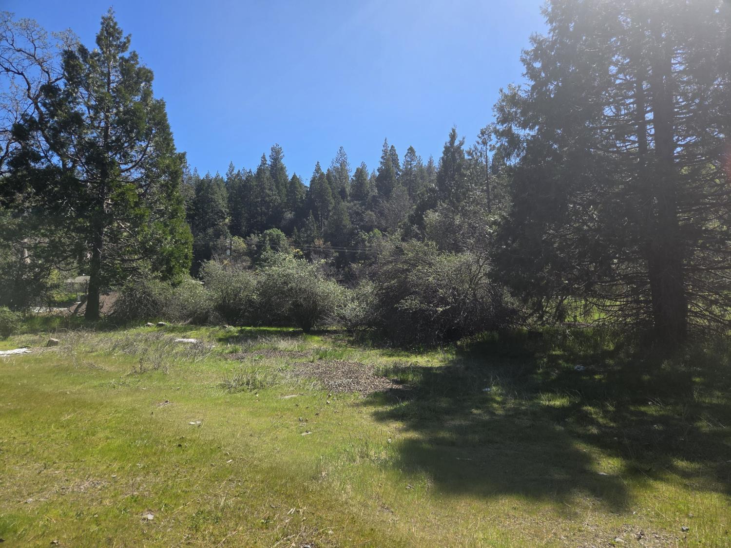 23724 Van De Hei Road Pioneer, CA 95666 - Photo 9 of 11