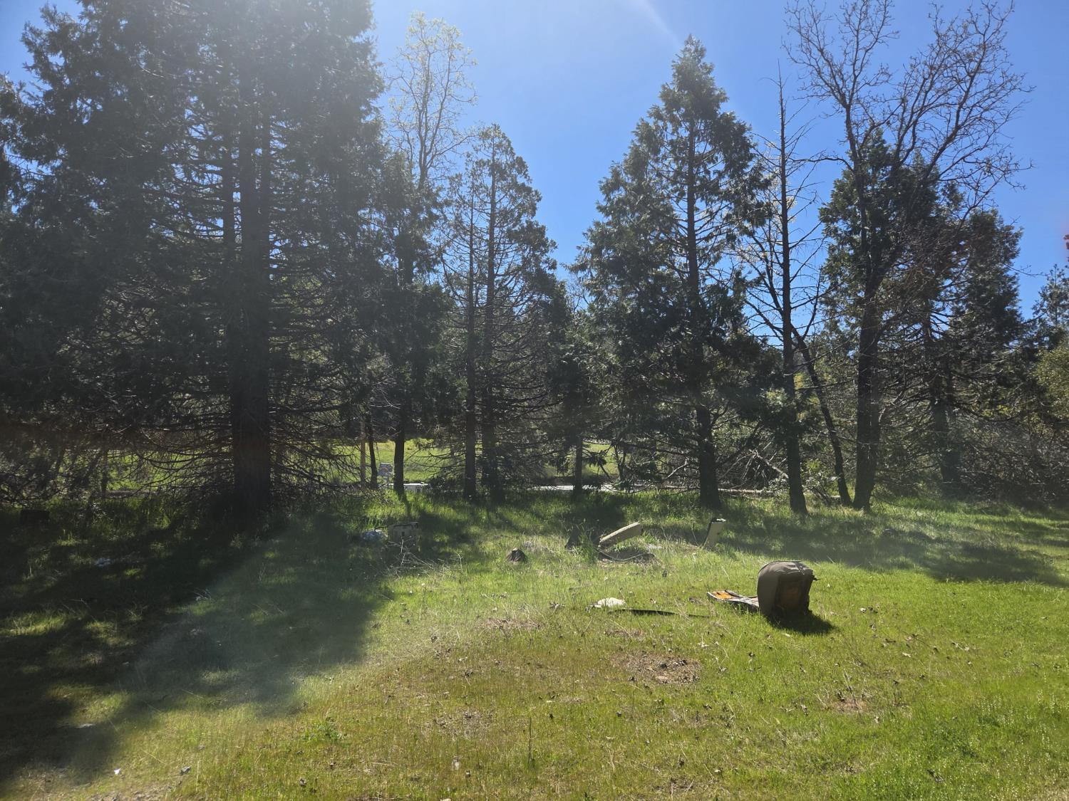 23724 Van De Hei Road Pioneer, CA 95666 - Photo 10 of 11