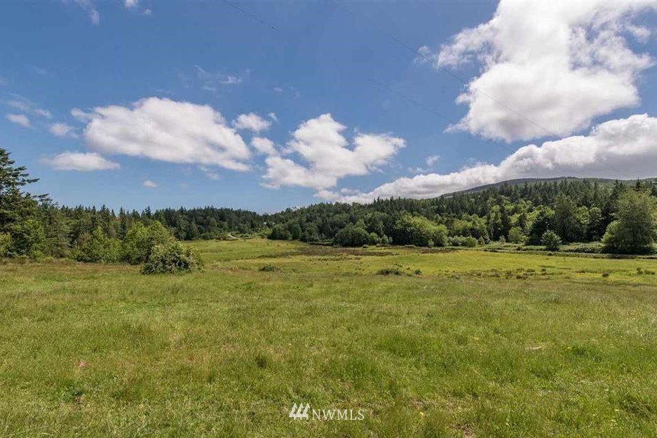 -nna Chicken Coop Road Sequim, WA 98382 - Photo 2 of 25 Gallery Image 2