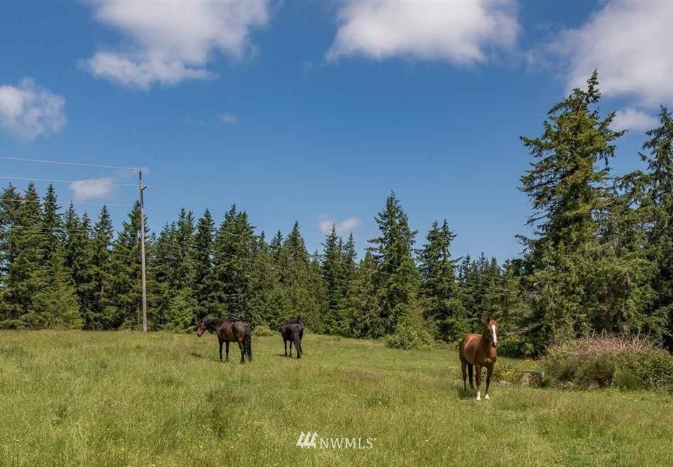 -nna Chicken Coop Road Sequim, WA 98382 - Photo 13 of 25 Gallery Image 13