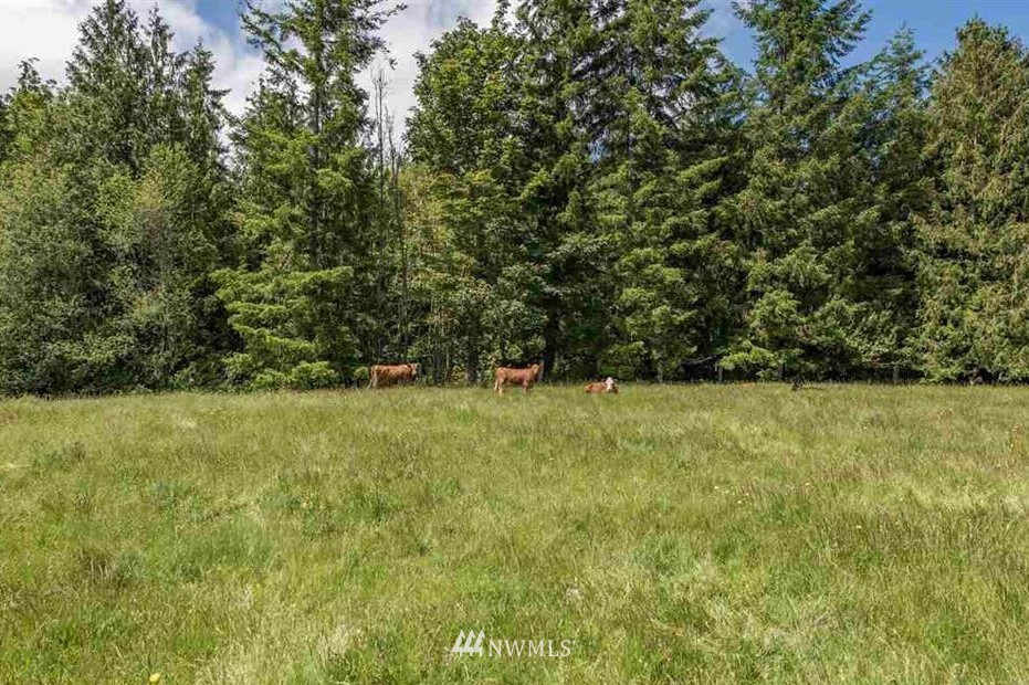 -nna Chicken Coop Road Sequim, WA 98382 - Photo 3 of 25 Gallery Image 3