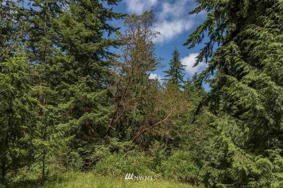 -nna Chicken Coop Road Sequim, WA 98382 - Photo 4 of 25 Gallery Image 4