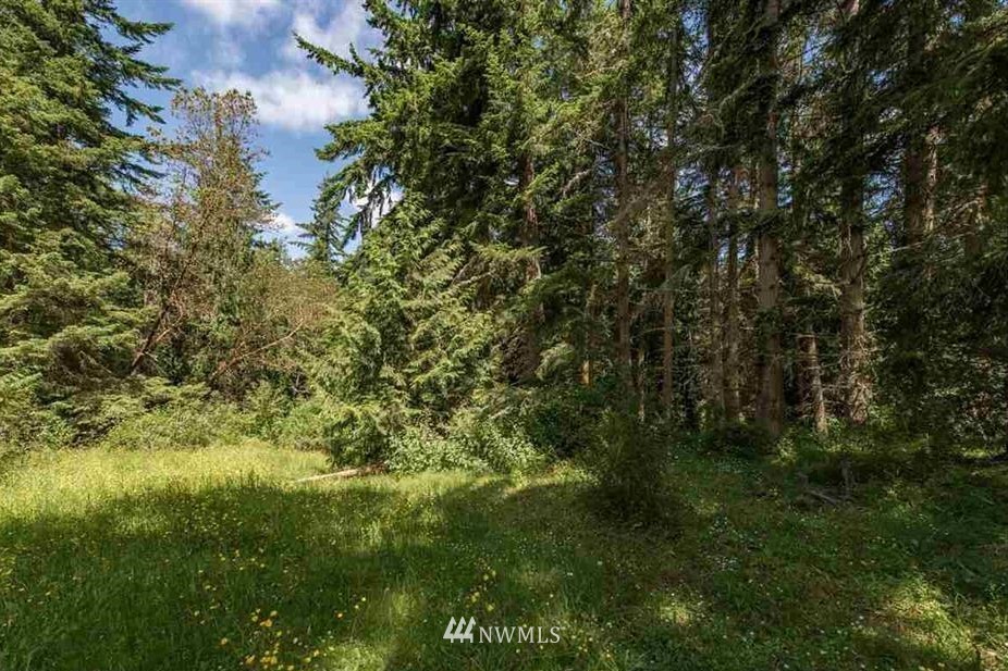 -nna Chicken Coop Road Sequim, WA 98382 - Photo 5 of 25 Gallery Image 5