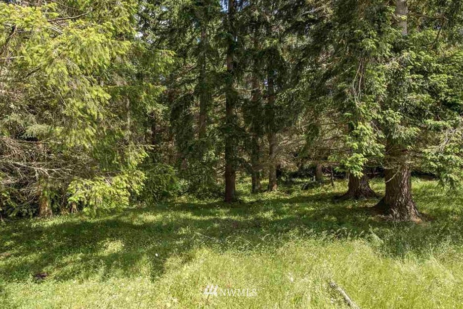 -nna Chicken Coop Road Sequim, WA 98382 - Photo 6 of 25 Gallery Image 6