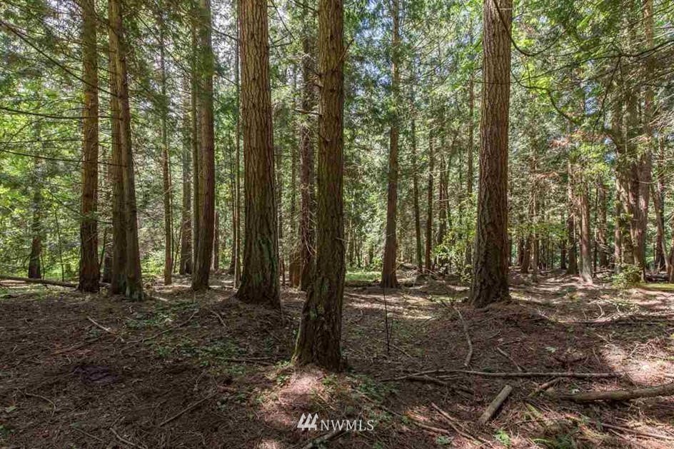 -nna Chicken Coop Road Sequim, WA 98382 - Photo 7 of 25 Gallery Image 7