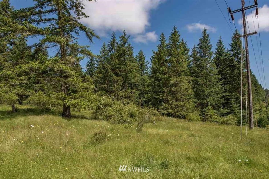 -nna Chicken Coop Road Sequim, WA 98382 - Photo 8 of 25 Gallery Image 8