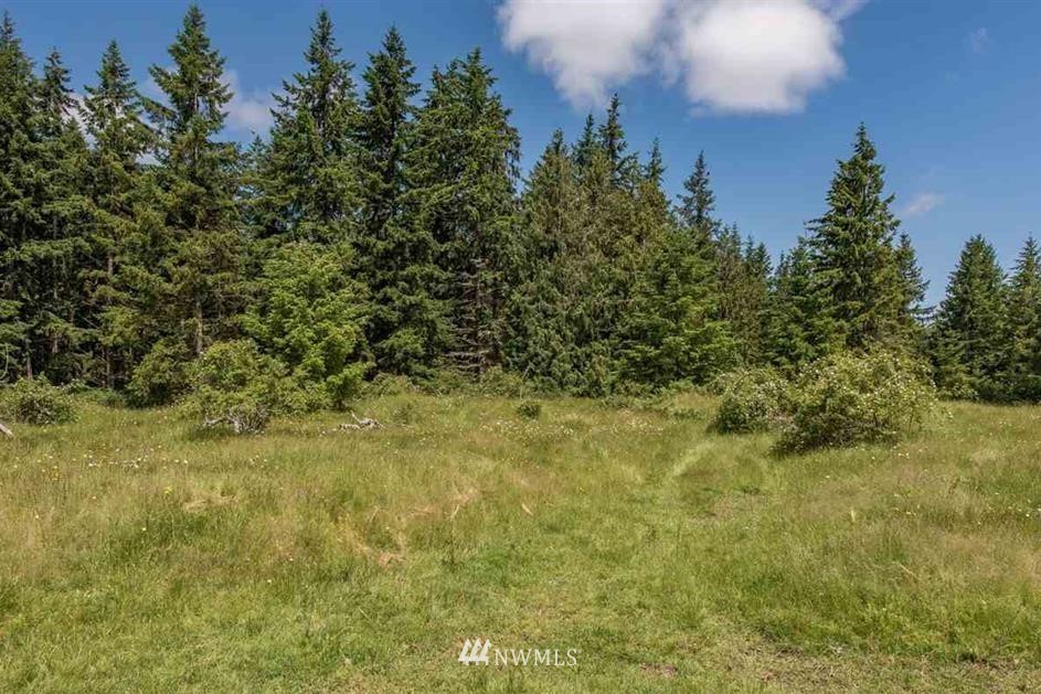 -nna Chicken Coop Road Sequim, WA 98382 - Photo 9 of 25 Gallery Image 9