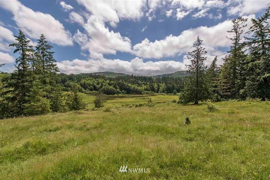 -nna Chicken Coop Road Sequim, WA 98382 - Photo 10 of 25 Gallery Image 10
