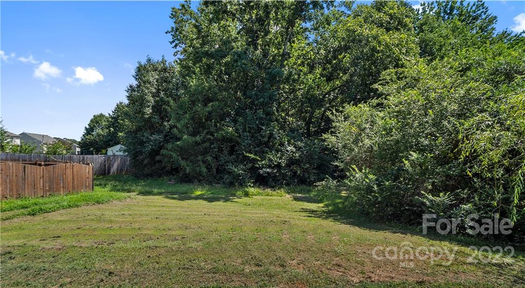 2532 Spring Breeze Way Monroe, NC 28110 - Photo 19 of 21 a view of backyard with green space