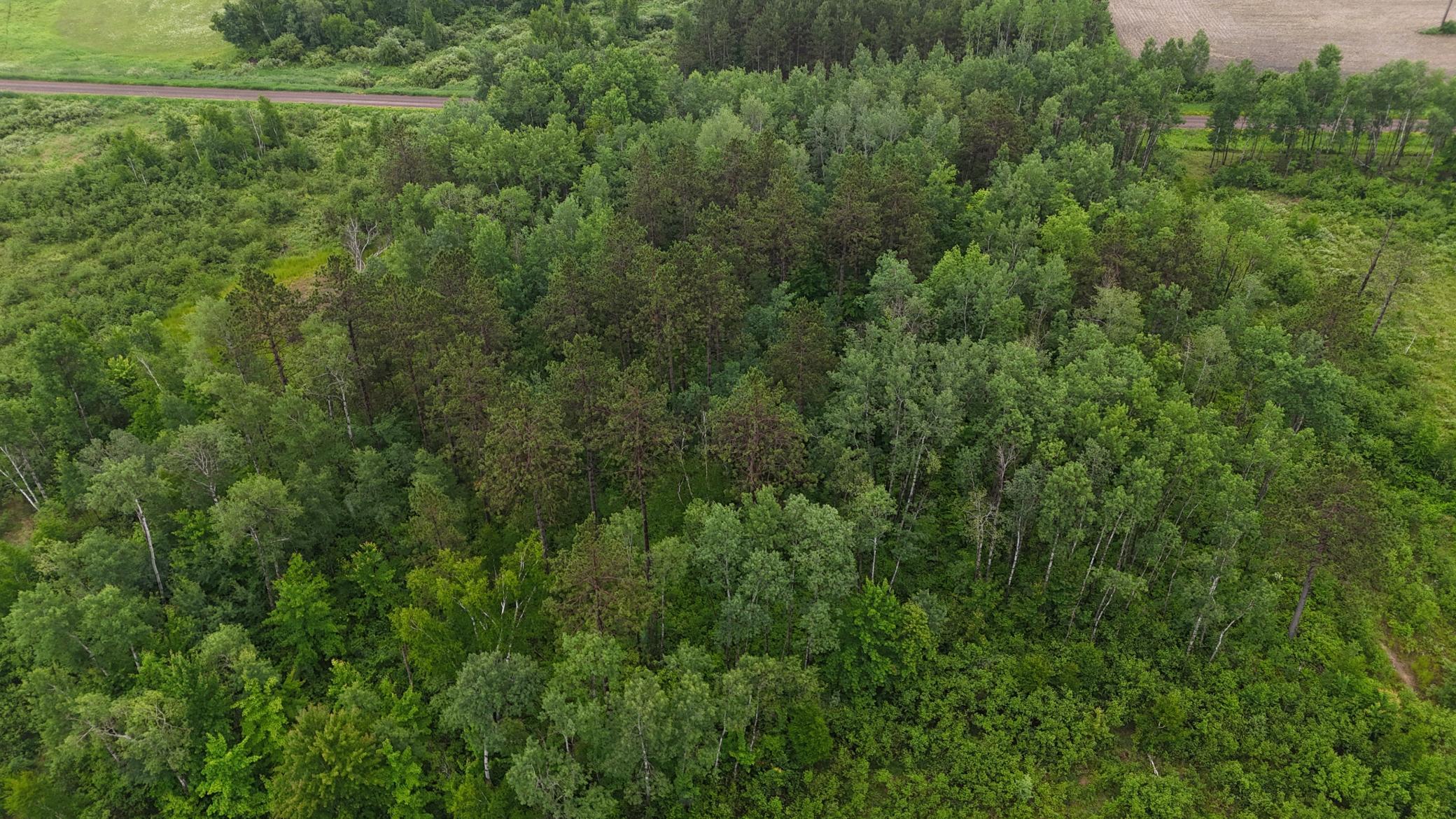 Tbd Klejeski Road Sandstone, MN 55072 - Photo 13 of 32