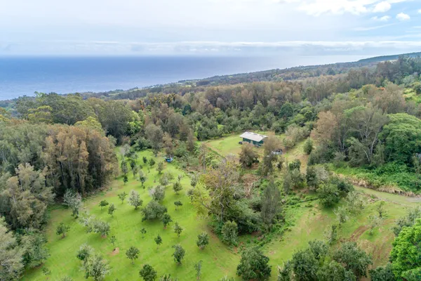 an aerial view of residential houses with outdoor space and trees