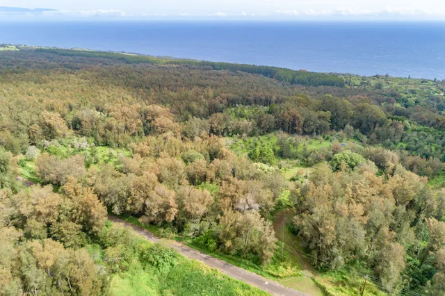 $1,500,000 | 47-4630 Cane Haul Road, Honokaa, HI 96727