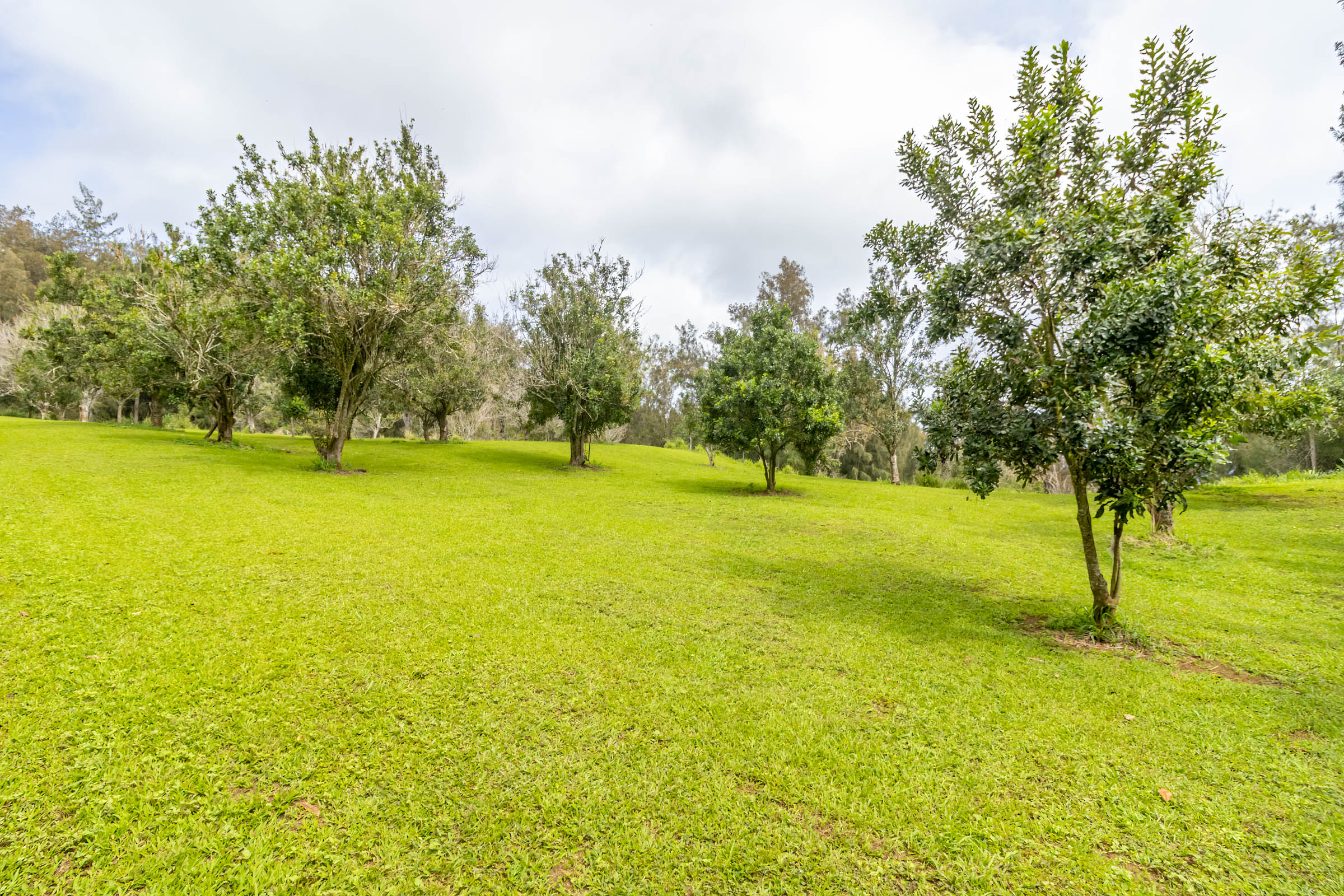 47-4630 Cane Haul Road Honokaa, HI 96727 - Photo 11 of 26