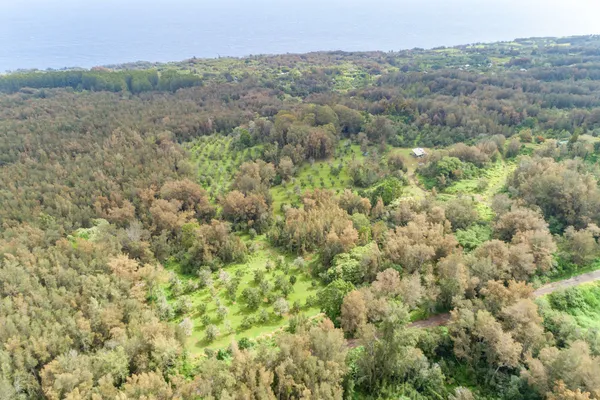 a view of a field with trees in background