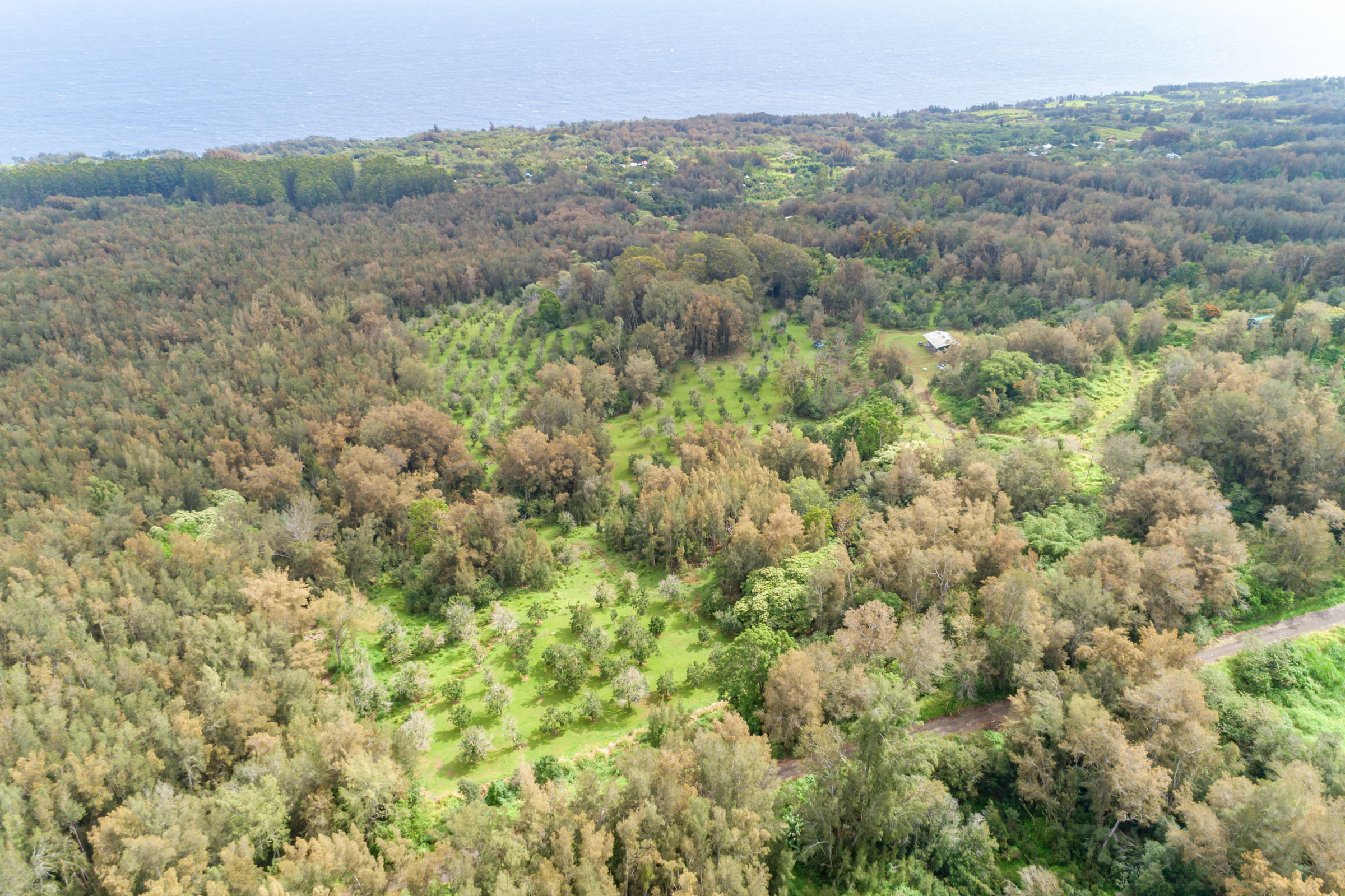 47-4630 Cane Haul Road Honokaa, HI 96727 - Photo 17 of 26