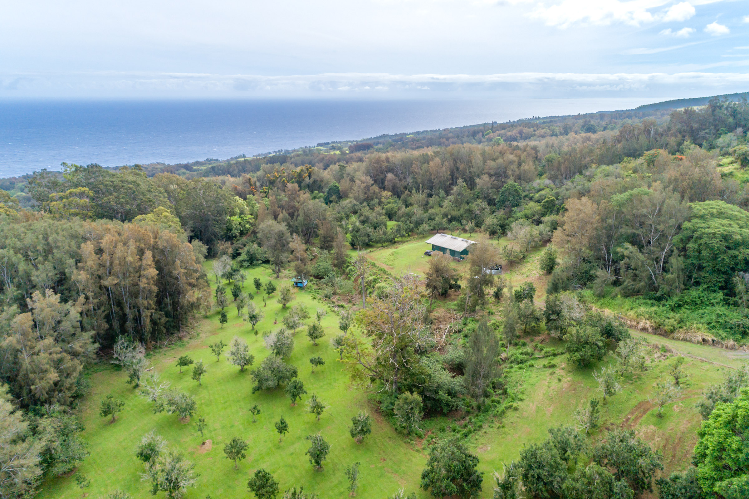 47-4630 Cane Haul Road Honokaa, HI 96727 - Photo 18 of 26