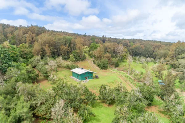 a view of a dry yard with green space