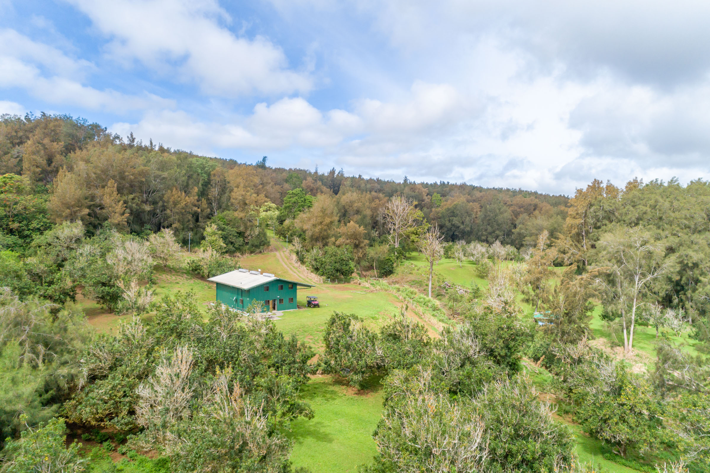 47-4630 Cane Haul Road Honokaa, HI 96727 - Photo 20 of 26