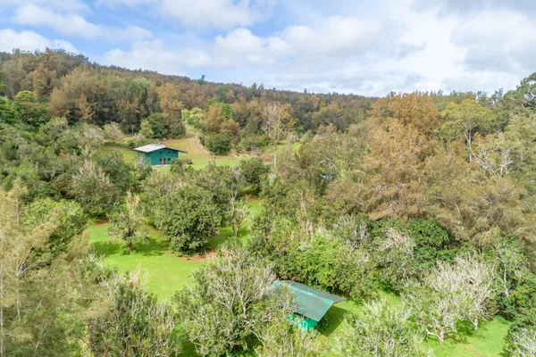 a view of a forest with an outdoor space
