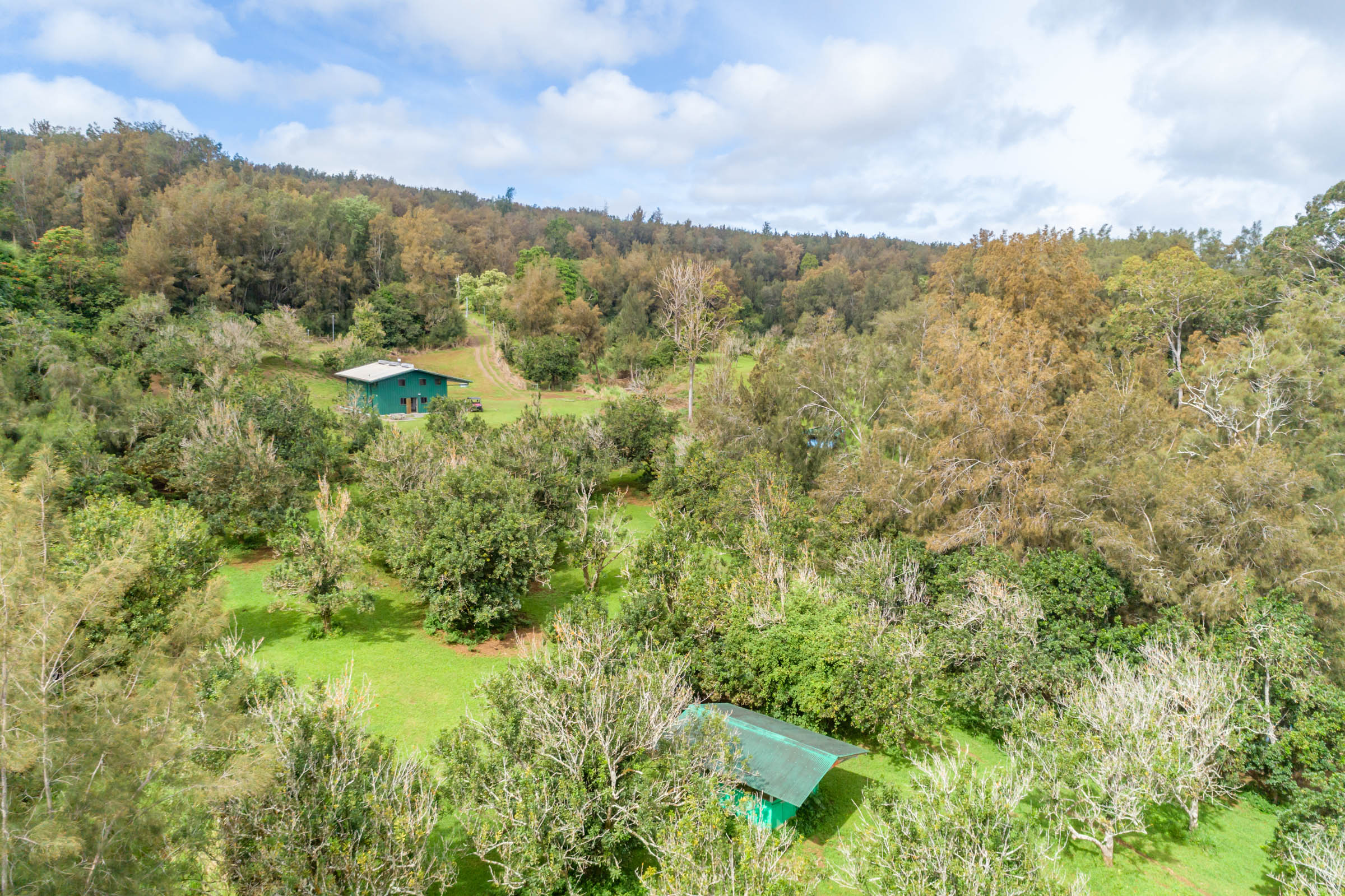 47-4630 Cane Haul Road Honokaa, HI 96727 - Photo 21 of 26