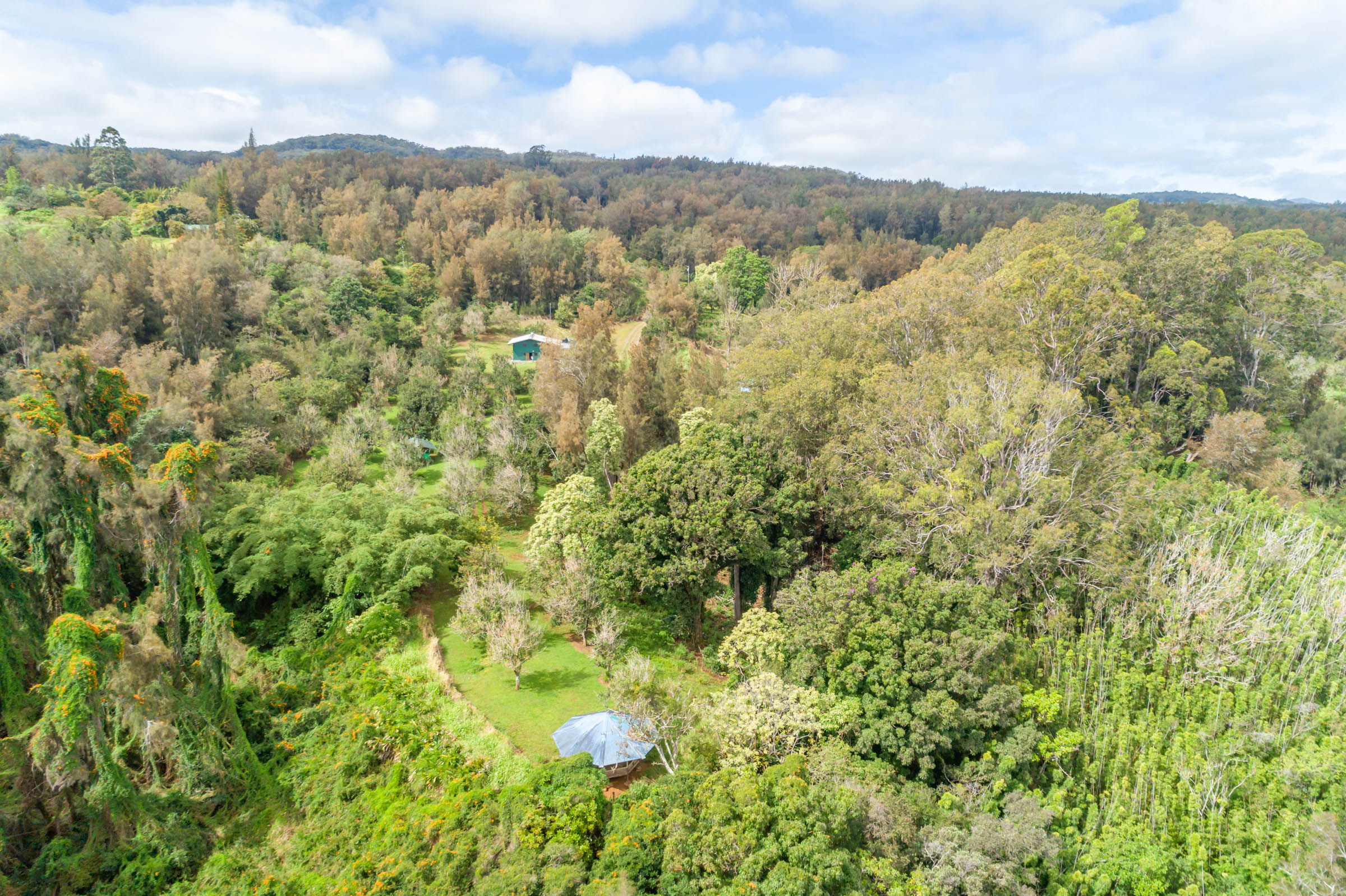 47-4630 Cane Haul Road Honokaa, HI 96727 - Photo 24 of 26