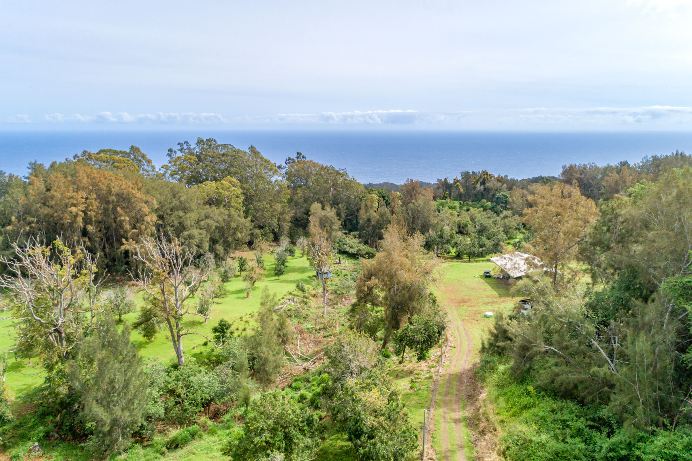 47-4630 Cane Haul Road Honokaa, HI 96727 - Photo 26 of 26