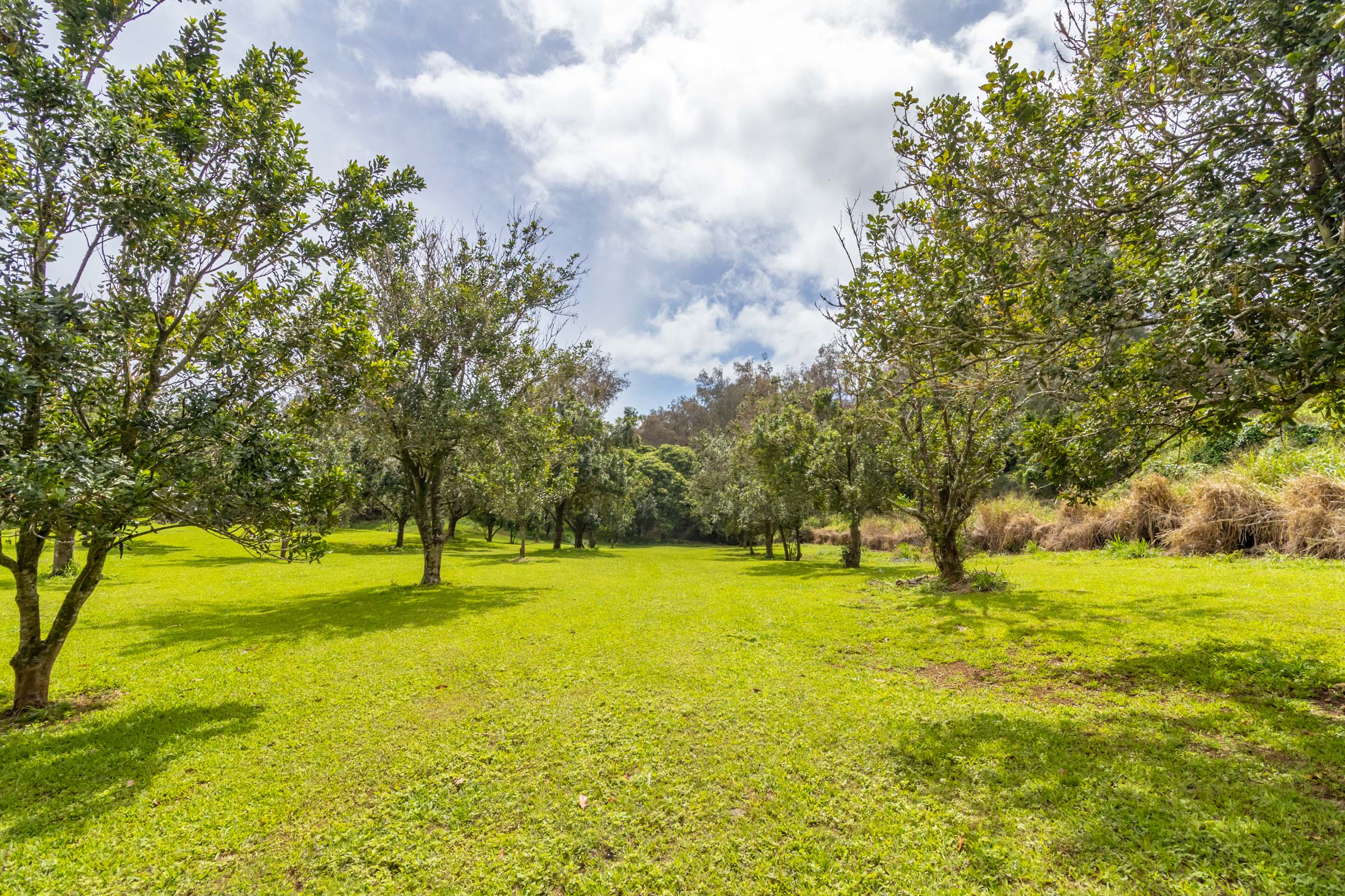 47-4630 Cane Haul Road Honokaa, HI 96727 - Photo 10 of 26