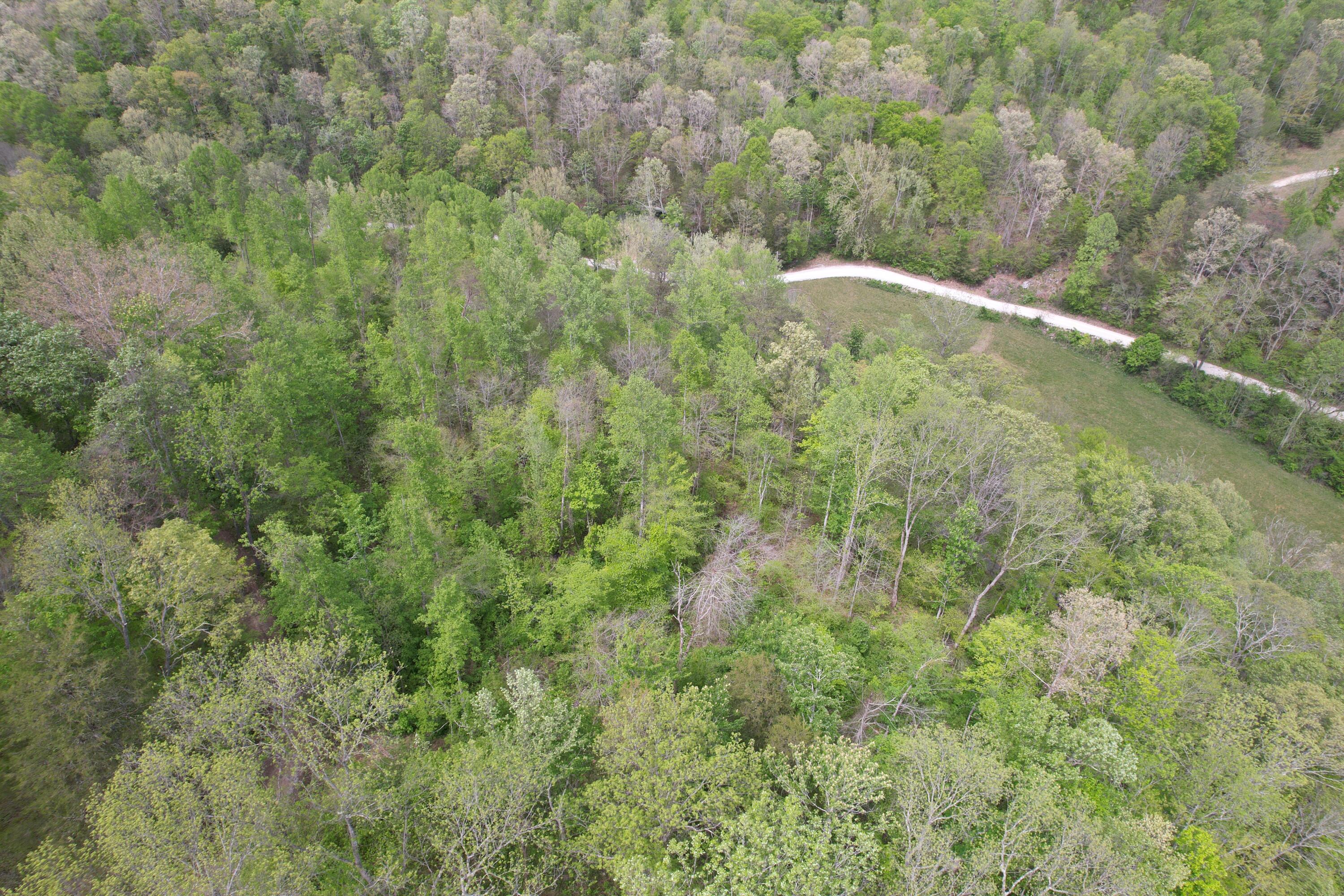999 Big Cave Road Livingston, KY 40445 - Photo 13 of 13 DJI_0833