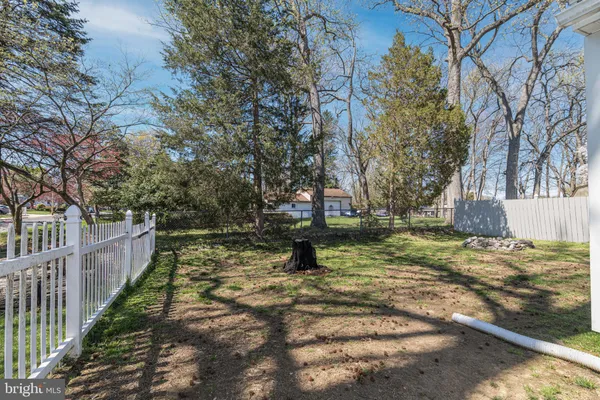 a view of a yard with large trees