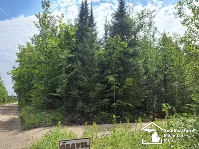 17991 Hebron Mail Route Cheboygan, MI 49721 - Photo 1 of 3