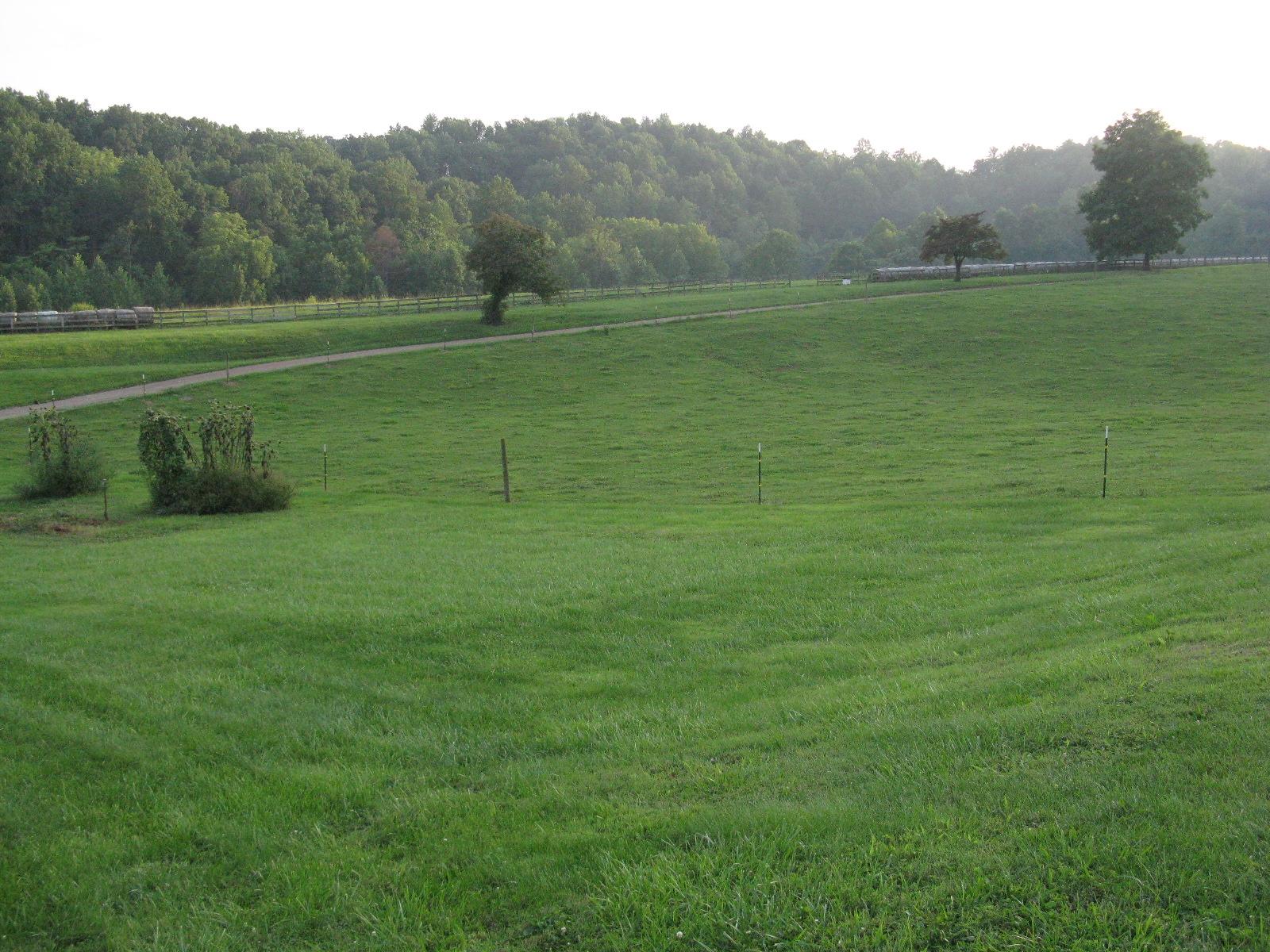 3970 Foothills Road Callaway, VA 24067 - Photo 15 of 41 a view of a field with grass and a palm
