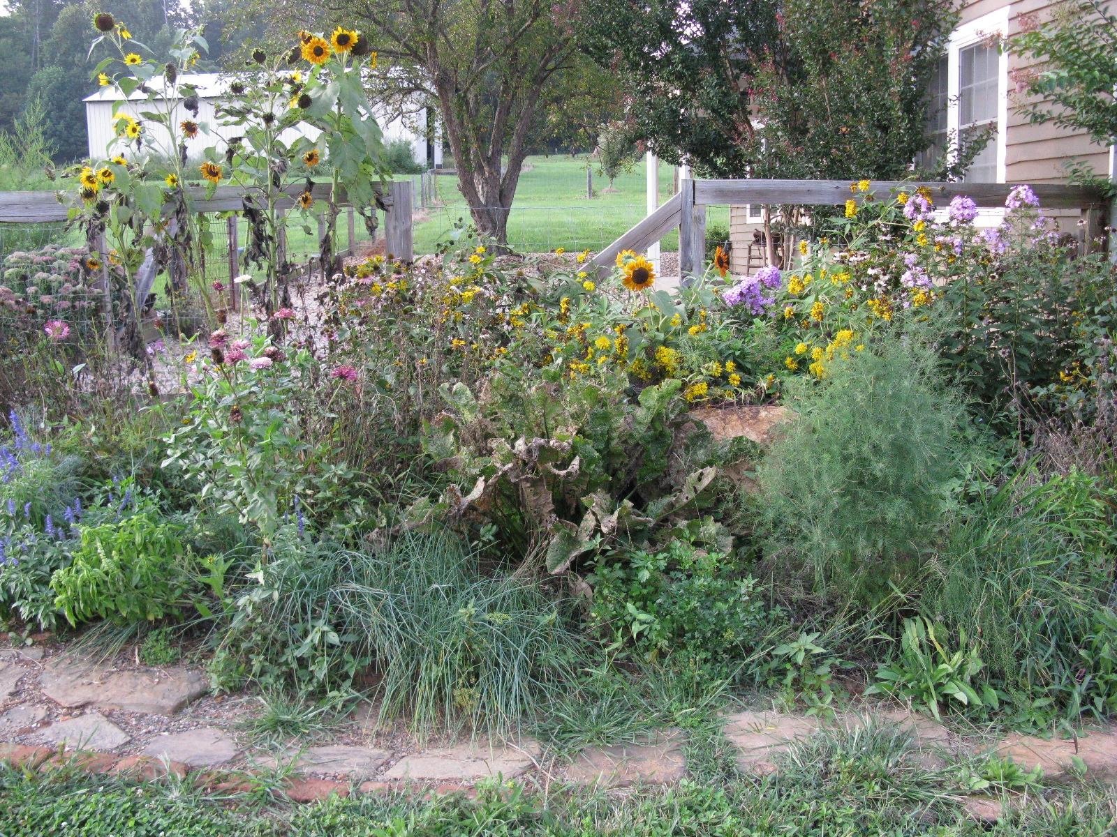 3970 Foothills Road Callaway, VA 24067 - Photo 19 of 41 a picture of flowers