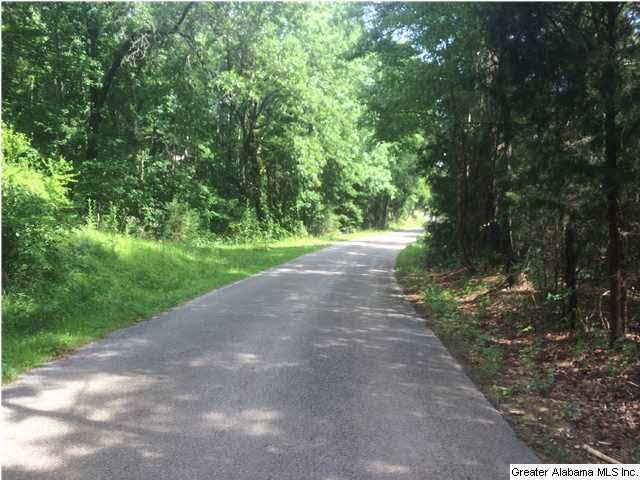 Frog Level Road, Unit 14 West Blocton, AL 35184 - Photo 9 of 10