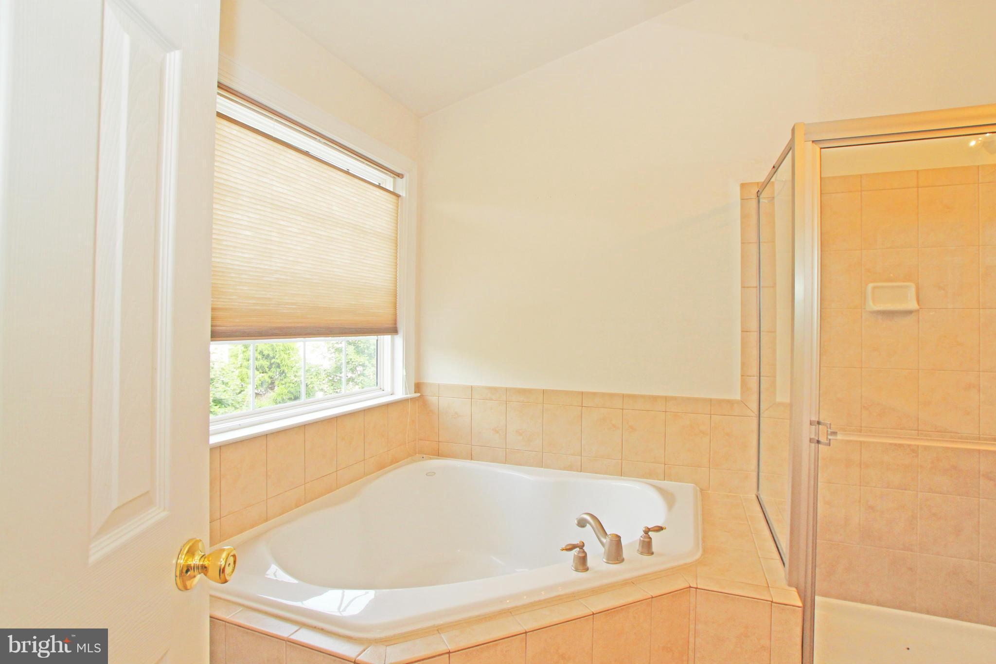 9193 Furey Road Lorton, VA 22079 - Photo 13 of 21 Bath (Master)