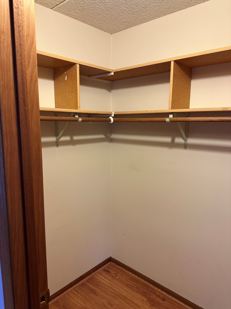 6460 West Belle Plaine Avenue, Unit 407 Chicago, IL 60634 - Photo 9 of 15 a view of closet